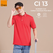 CI 13