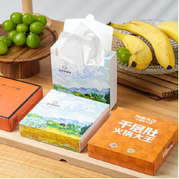 SD - Tissue Box (Small)